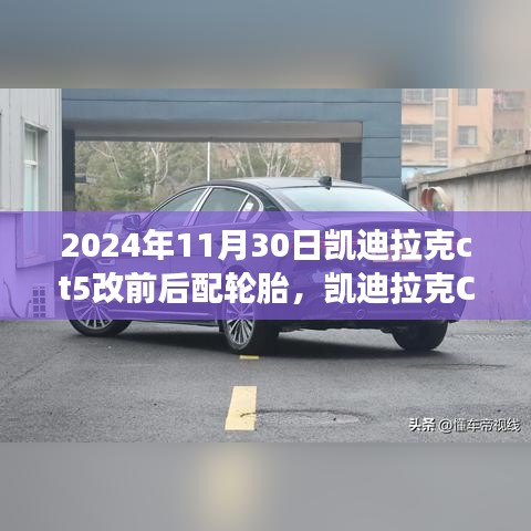 产品展示 第427页