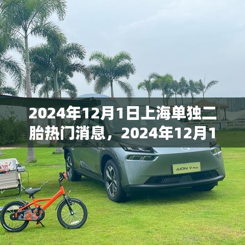 第2453页