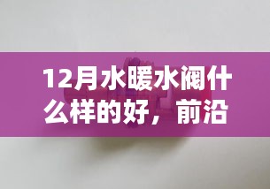百鸟归巢 第4页