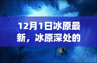 步履如飞 第4页