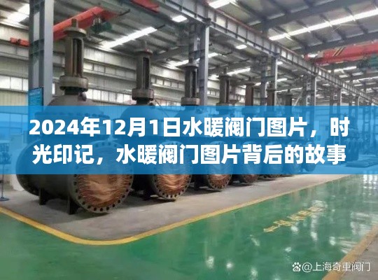 撺哄鸟乱 第5页