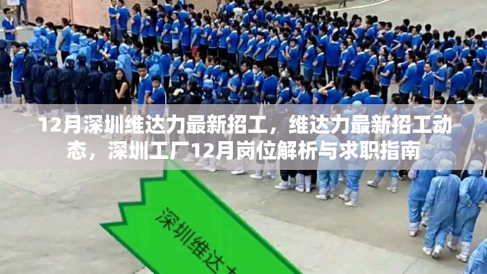 第2361页