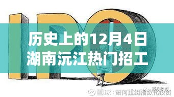 深度解析与评测报告