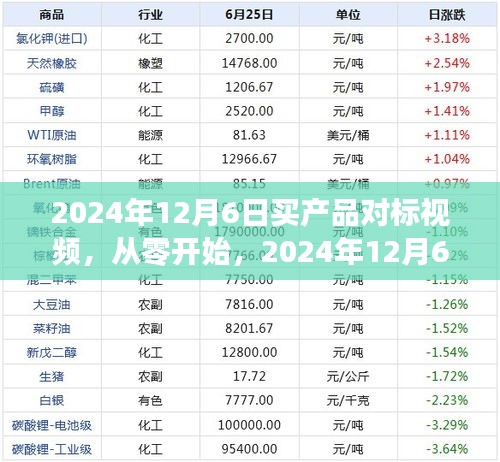 如何制作买产品对标视频，从初学者到进阶用户的全方位指南（2024年12月6日版）