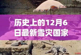 产品展示 第385页