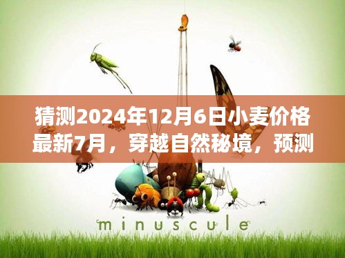 神清气朗 第5页