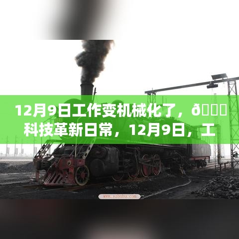 产品展示 第378页