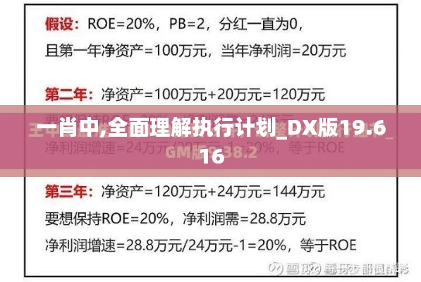 一肖中,全面理解执行计划_DX版19.616