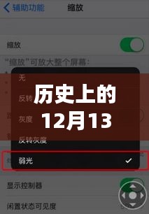 第2055页