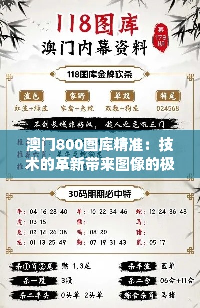澳门800图库精准：技术的革新带来图像的极致