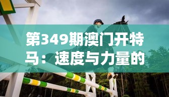 资料大全 第245页