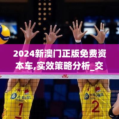 打张鸡儿 第4页