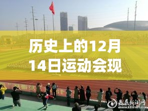 新闻中心 第316页
