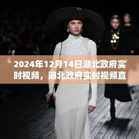 见仁见智 第3页