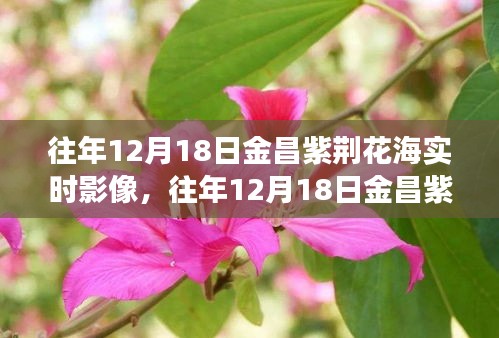 省吃细用 第3页