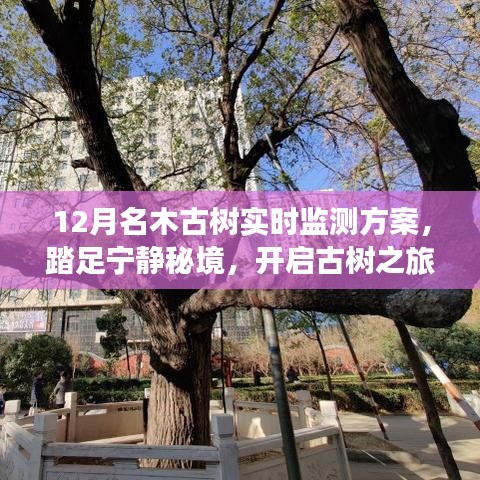 富贵不能淫 第4页
