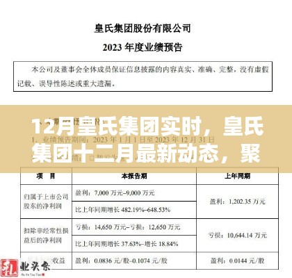 最新动态速递