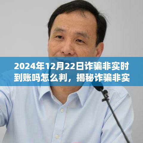 揭秘诈骗非实时到账处理方式，识别与应对诈骗行为的指南（2024年最新）
