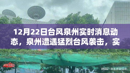 泉州遭遇猛烈台风袭击，实时消息动态与深远影响分析（12月22日台风更新）