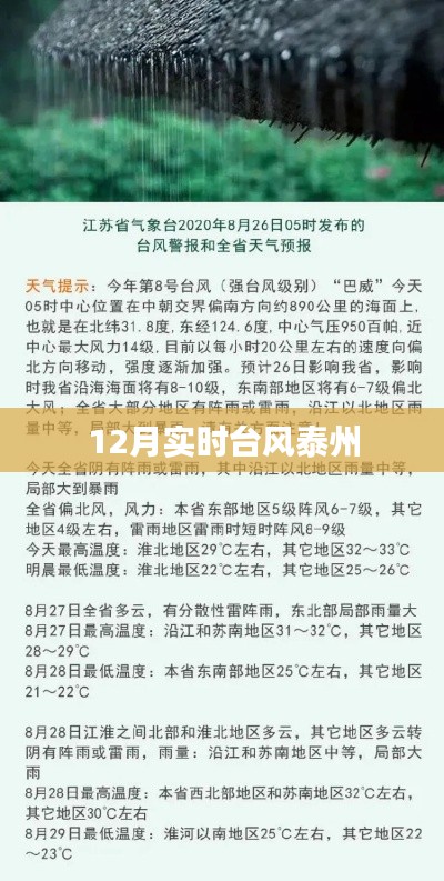 台风实时更新