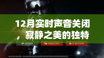 12月实时声音关闭，寂静之美的独特体验