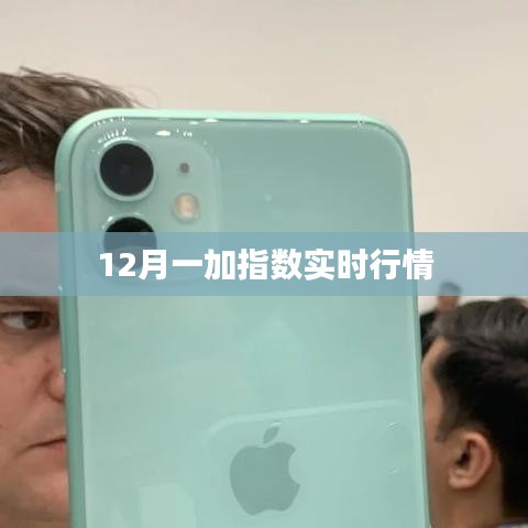 12月一加指数最新实时行情分析