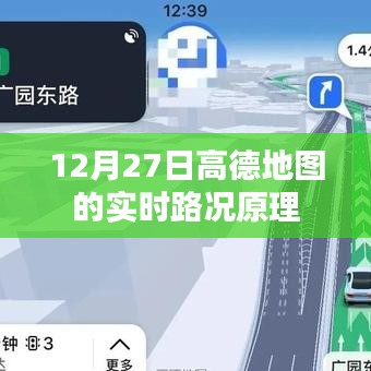 鸟入樊笼 第3页