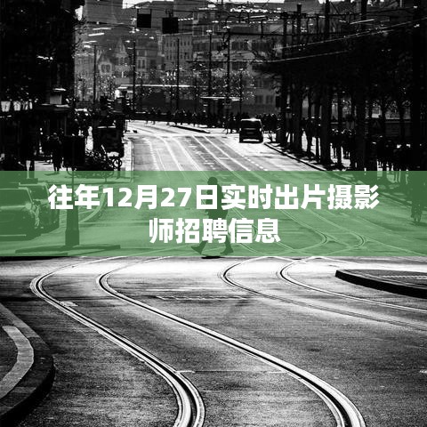 公司简介 第282页