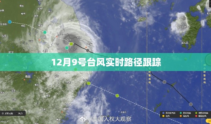 囫囵吞枣 第3页