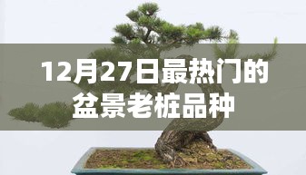 新闻中心 第215页