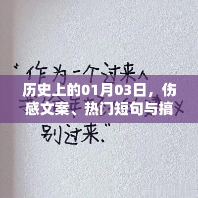 椎髻布衣 第3页