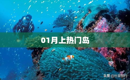产品展示 第229页