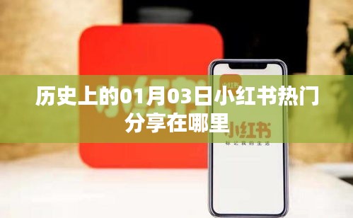 惊弦之鸟 第2页