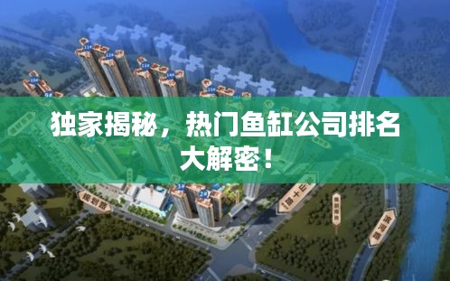 眼张失道 第2页