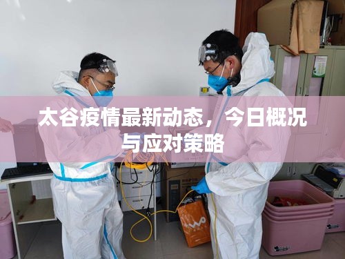 太谷疫情最新动态，今日概况与应对策略