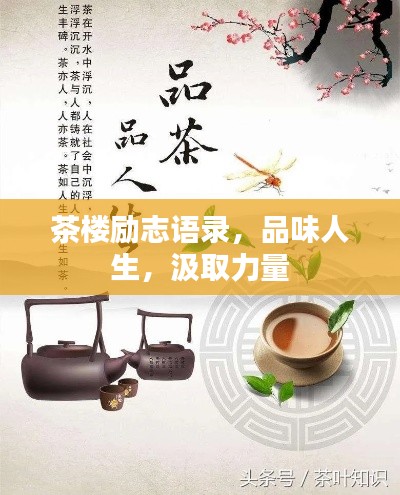 资料大全 第198页