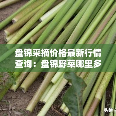 物是人非 第2页