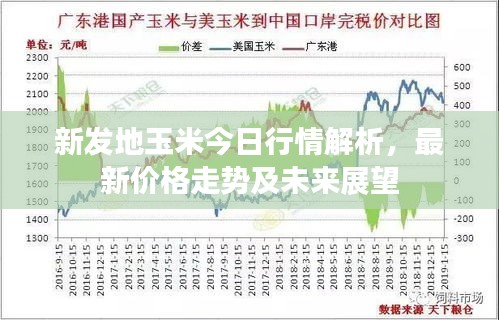 反朴归真 第2页