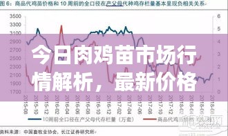 百不得一 第2页