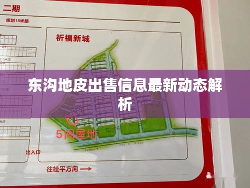 东沟地皮出售信息最新动态解析