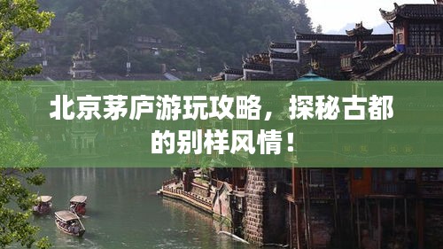 手舞足蹈 第2页
