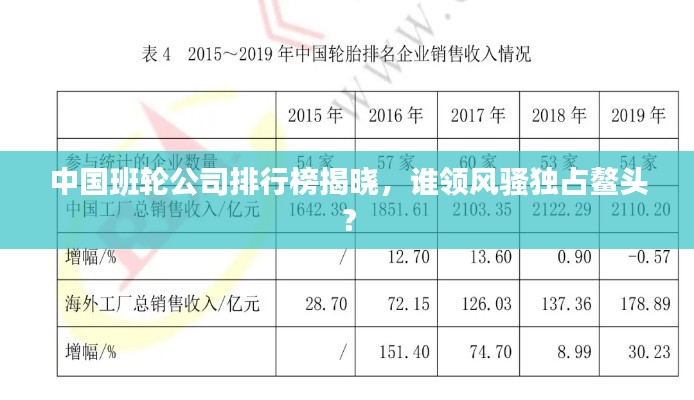 中国班轮公司排行榜揭晓，谁领风骚独占鳌头？