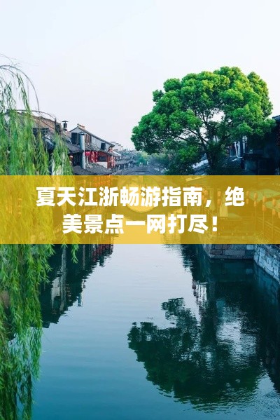 有张没智 第3页