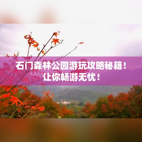 石门森林公园游玩攻略秘籍！让你畅游无忧！