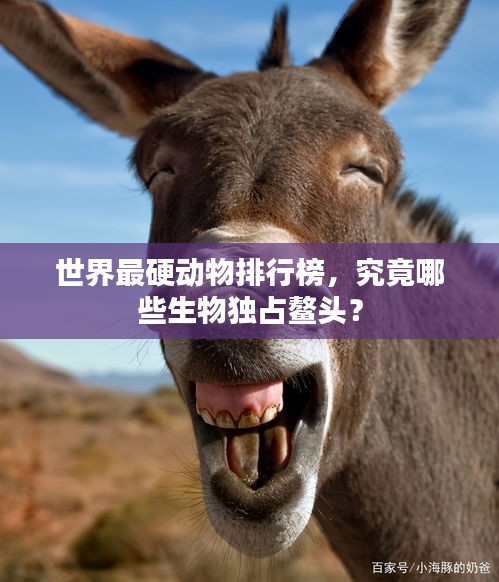 雍容尔雅 第3页