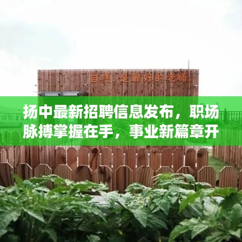尊道贵德 第2页