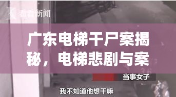 雍容华贵 第2页