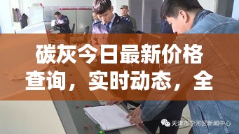 碳灰今日最新价格查询，实时动态，全面了解行情