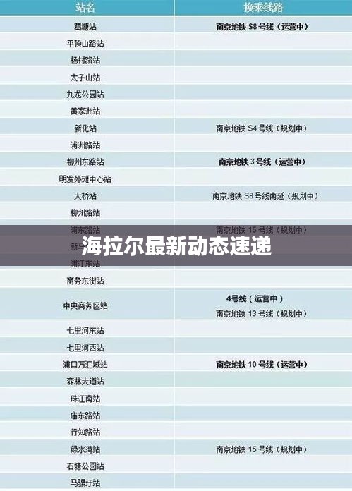 海拉尔最新动态速递