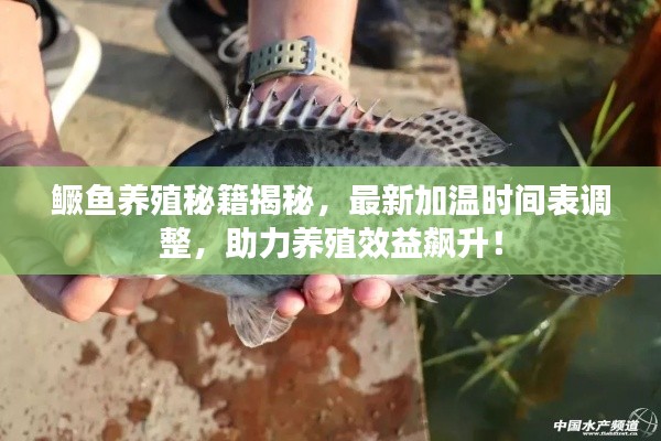 蹉跎岁月 第2页